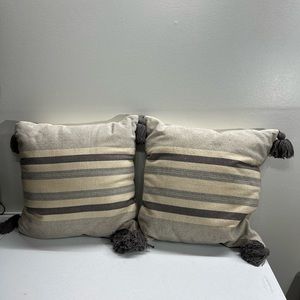 100 Percent PolyesterDecorative Throw Pillow 2 Pillows / Cushion Cover Comes Off